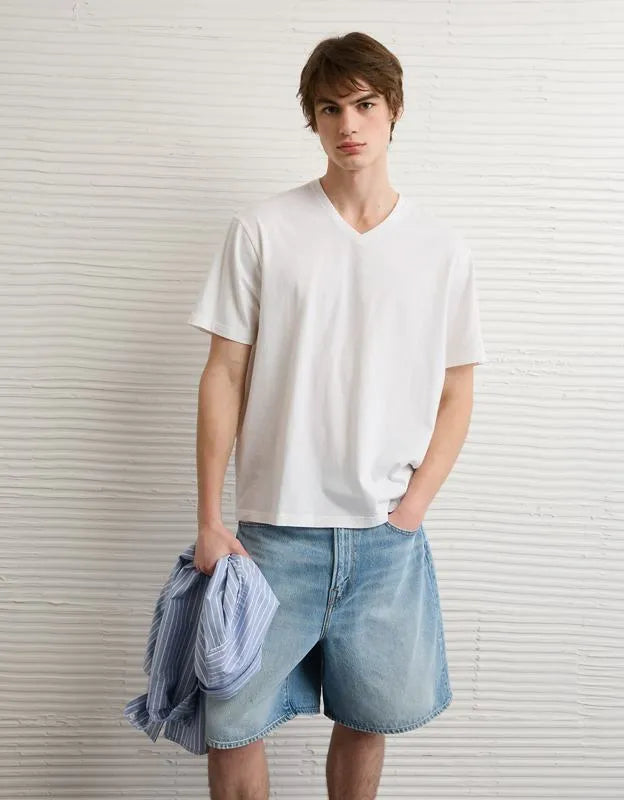 AE Standard Fit Lived-In V-Neck T-Shirt