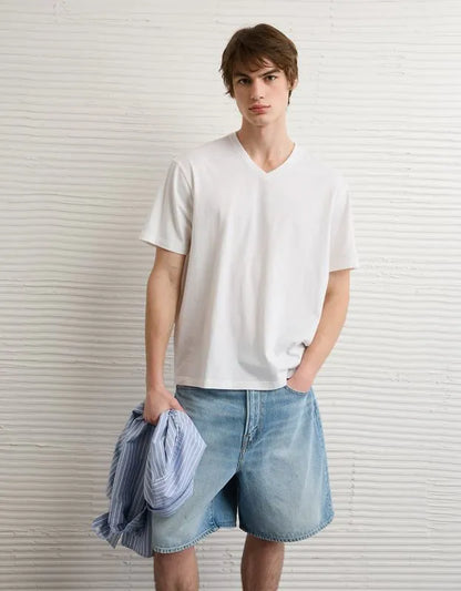 AE Standard Fit Lived-In V-Neck T-Shirt
