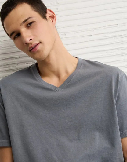 AE Standard Fit Lived-In V-Neck T-Shirt