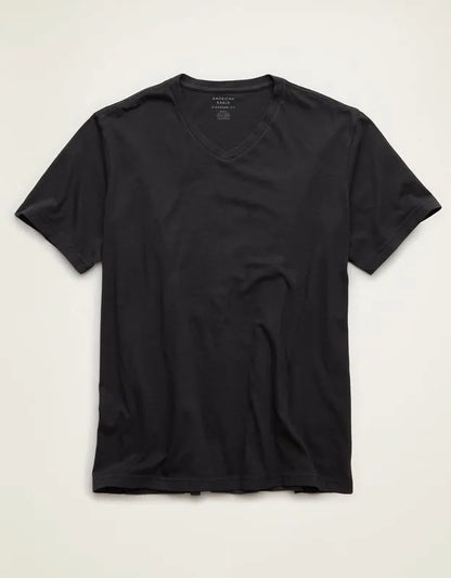 AE Standard Fit Lived-In V-Neck T-Shirt