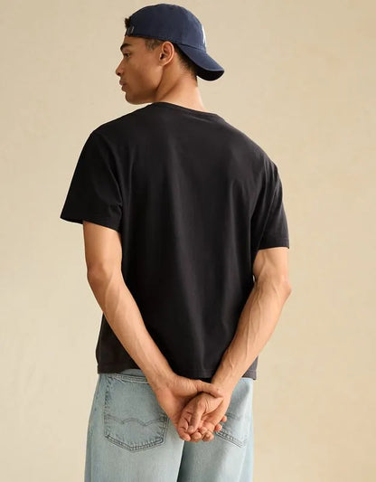 AE Standard Fit Lived-In V-Neck T-Shirt