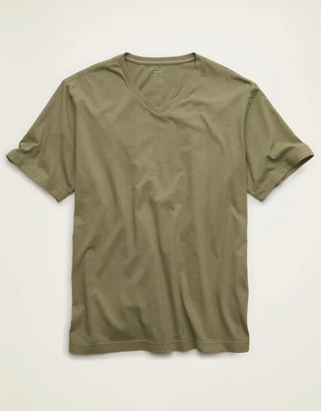 AE Standard Fit Lived-In V-Neck T-Shirt