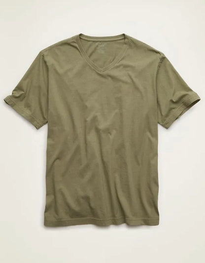 AE Standard Fit Lived-In V-Neck T-Shirt