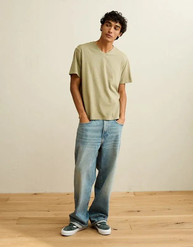AE Standard Fit Lived-In V-Neck T-Shirt