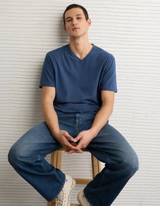 AE Standard Fit Lived-In V-Neck T-Shirt