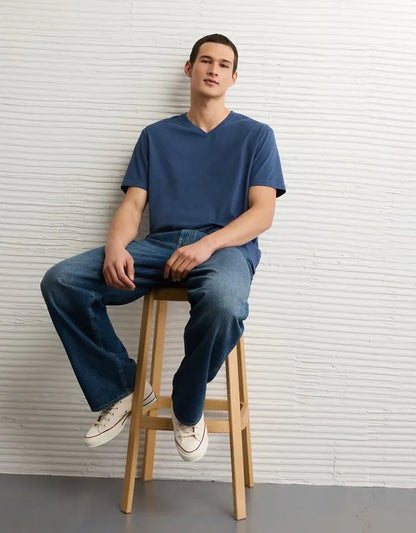 AE Standard Fit Lived-In V-Neck T-Shirt
