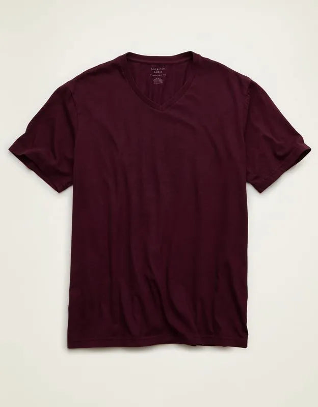 AE Standard Fit Lived-In V-Neck T-Shirt