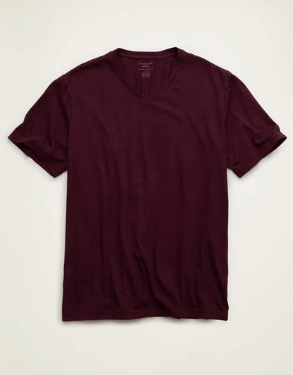 AE Standard Fit Lived-In V-Neck T-Shirt