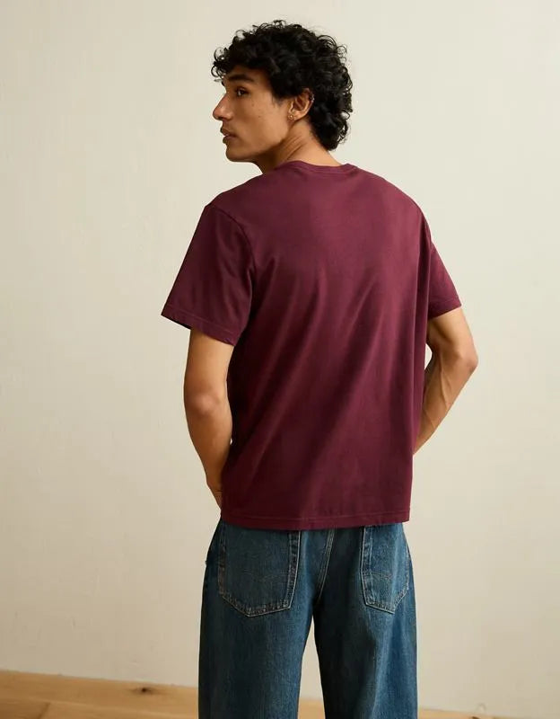 AE Standard Fit Lived-In V-Neck T-Shirt