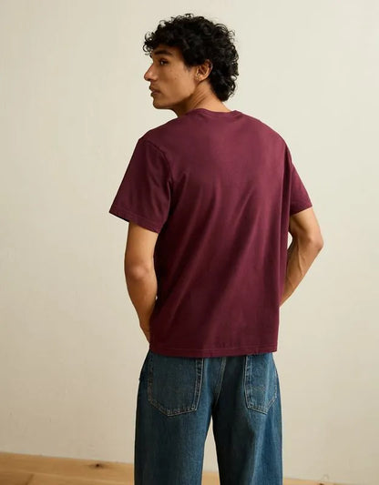 AE Standard Fit Lived-In V-Neck T-Shirt