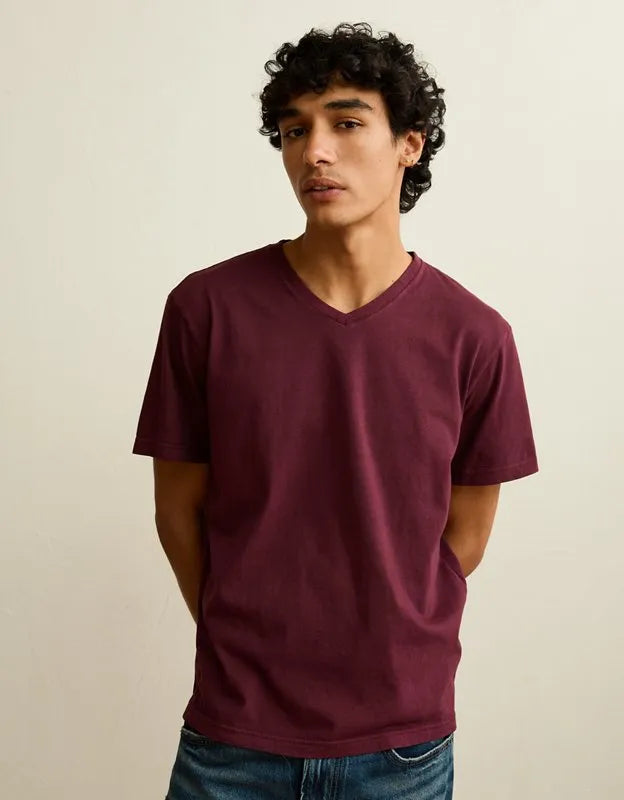 AE Standard Fit Lived-In V-Neck T-Shirt
