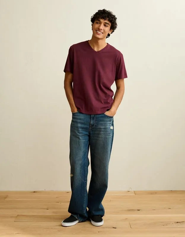 AE Standard Fit Lived-In V-Neck T-Shirt