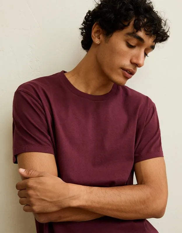 AE Slim Fit Lived-In T-Shirt