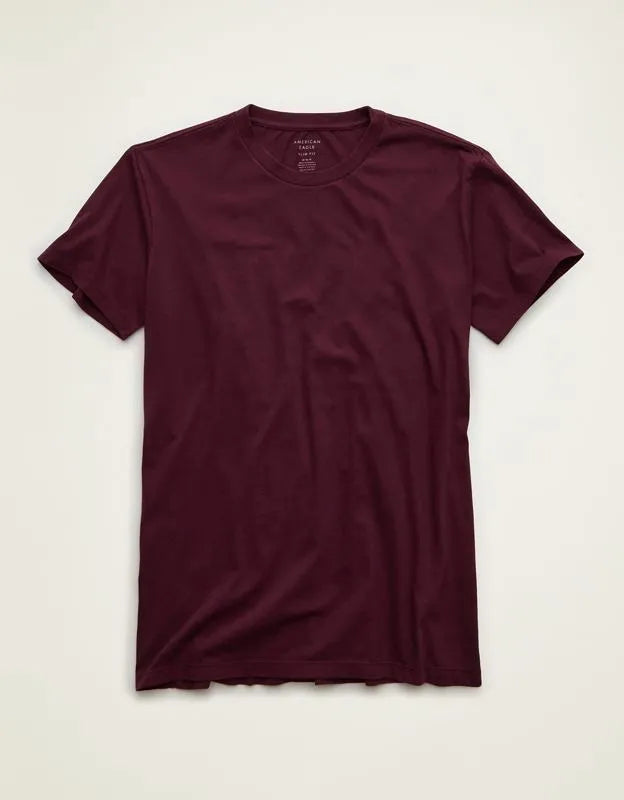 AE Slim Fit Lived-In T-Shirt