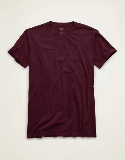 AE Slim Fit Lived-In T-Shirt