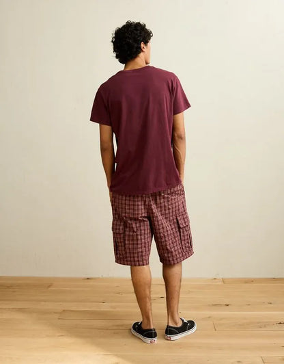 AE Slim Fit Lived-In T-Shirt