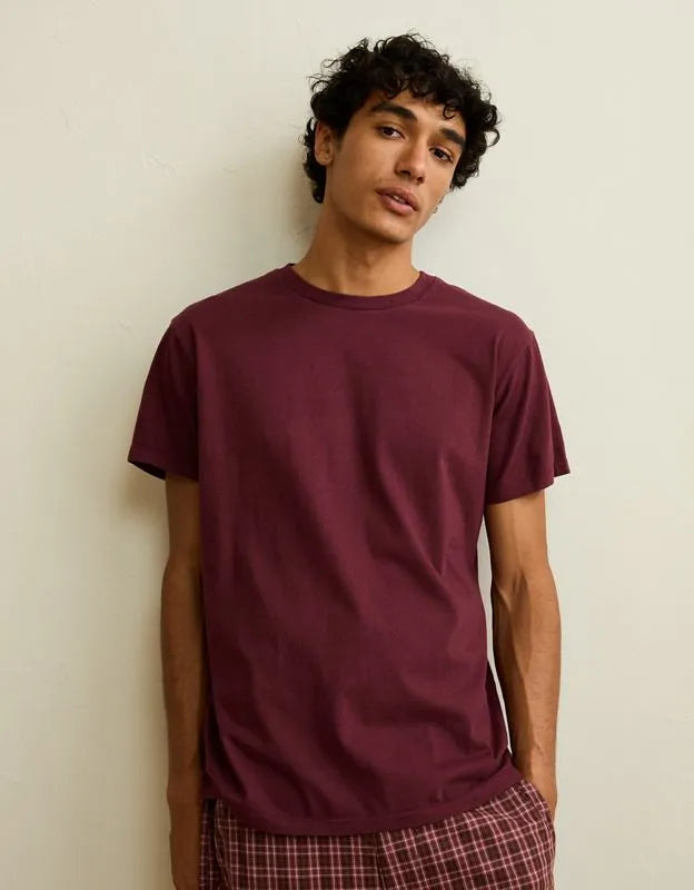 AE Slim Fit Lived-In T-Shirt