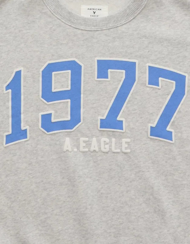 AE Graphic Crew Neck Sweatshirt