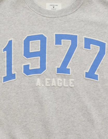 AE Graphic Crew Neck Sweatshirt