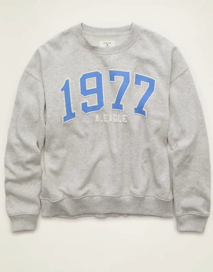 AE Graphic Crew Neck Sweatshirt