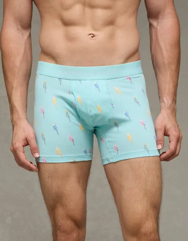 AEO Men's 4.5" Classic Cotton Boxer Brief