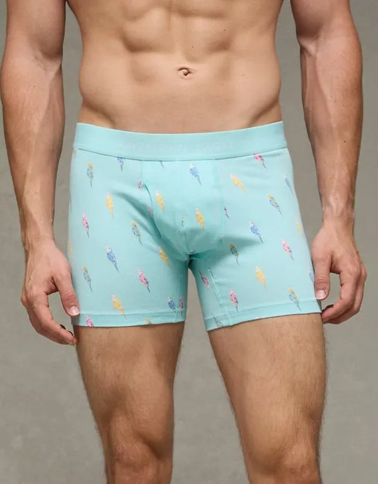 AEO Men's 4.5" Classic Cotton Boxer Brief
