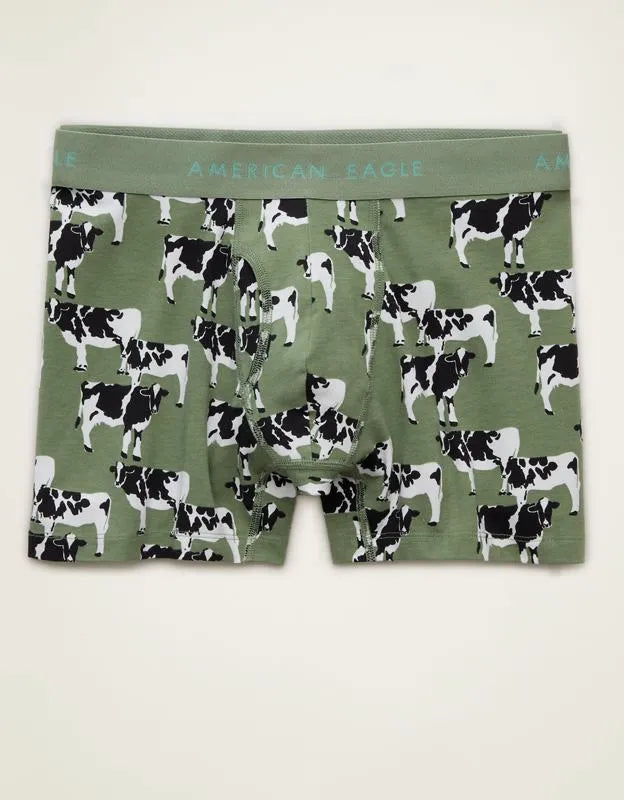 AEO Men's 4.5" Classic Cotton Boxer Brief