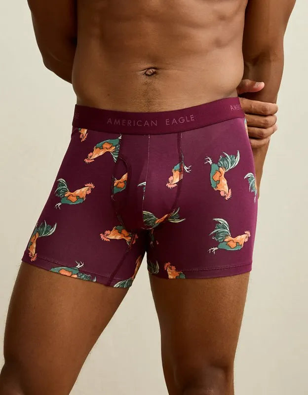 AEO Men's 4.5" Classic Cotton Boxer Brief