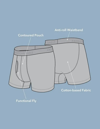 AEO Men's 4.5" Classic Cotton Boxer Brief