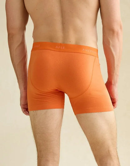 AEO Men's 4.5" Classic Boxer Brief