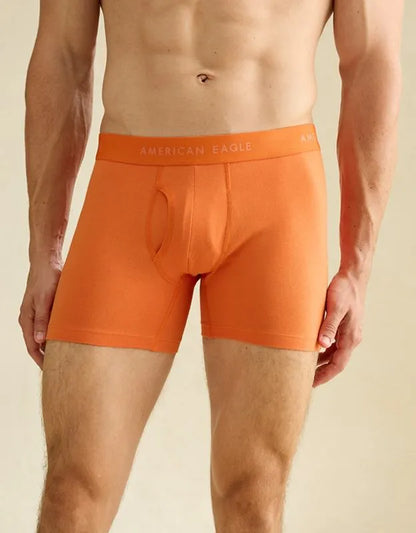 AEO Men's 4.5" Classic Boxer Brief