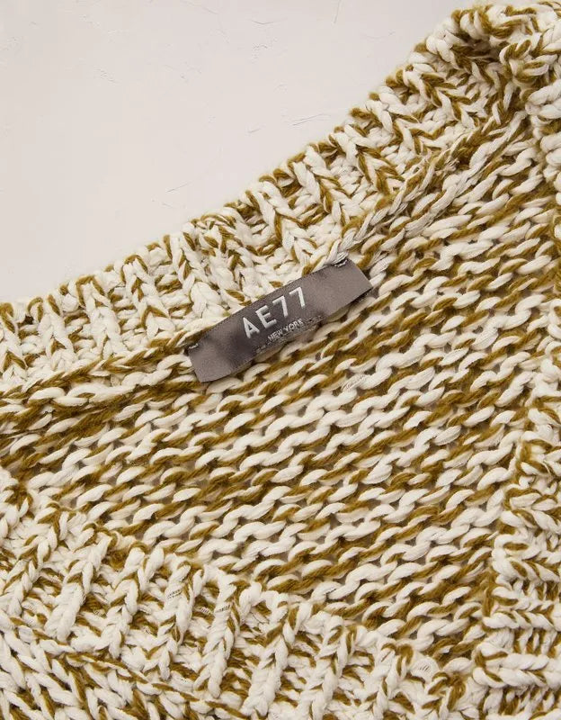 AE77 Marled V-Neck Sweater Vest