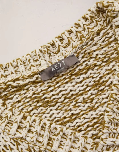 AE77 Marled V-Neck Sweater Vest