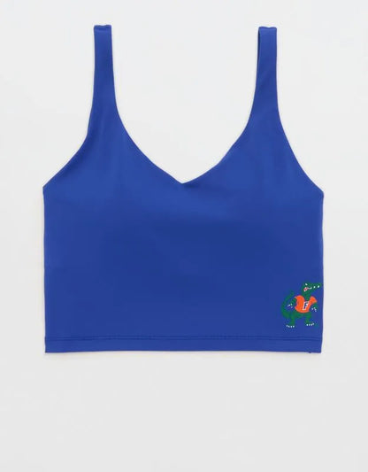 Florida Gators OFFLINE By Aerie Low Key Sports Bra
