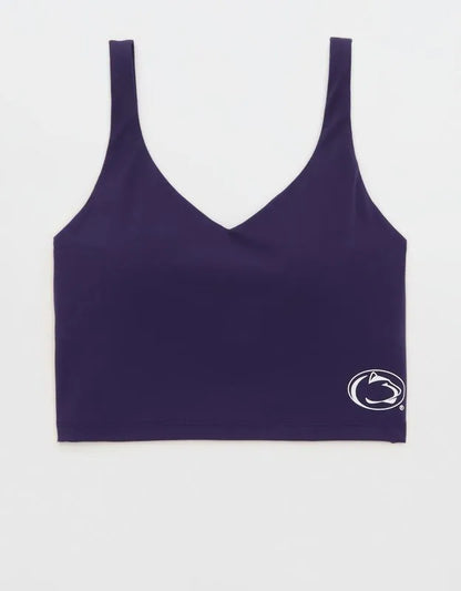 Penn State Nittany Lions OFFLINE By Aerie Low Key Sports Bra
