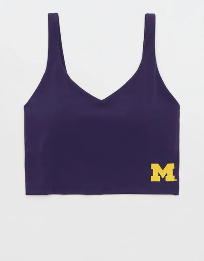 Michigan Wolverines OFFLINE By Aerie Low Key Sports Bra