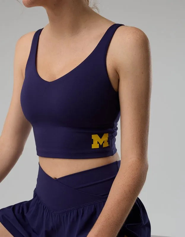 Michigan Wolverines OFFLINE By Aerie Low Key Sports Bra
