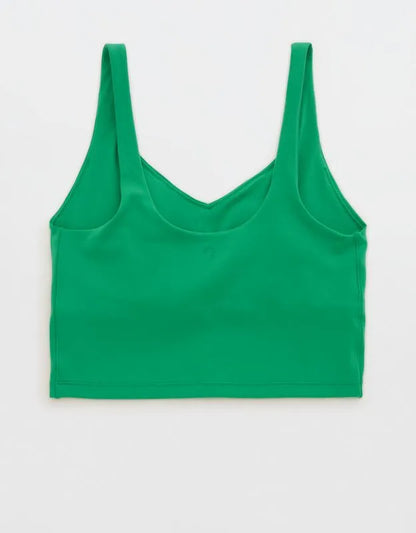 Notre Dame Fighting Irish OFFLINE By Aerie Low Key Sports Bra
