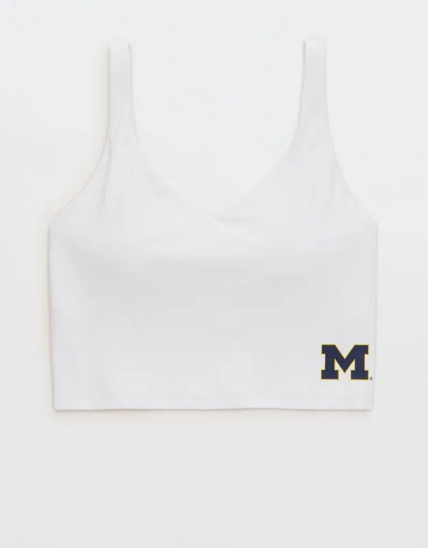 Michigan Wolverines OFFLINE By Aerie Low Key Sports Bra