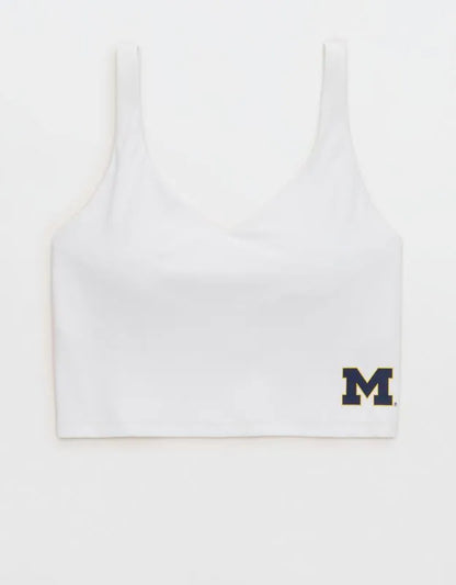 Michigan Wolverines OFFLINE By Aerie Low Key Sports Bra