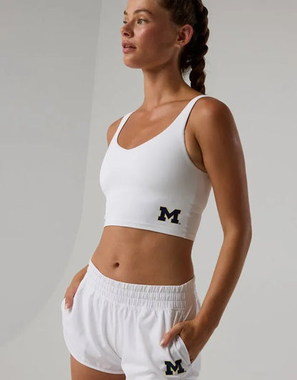 Michigan Wolverines OFFLINE By Aerie Low Key Sports Bra