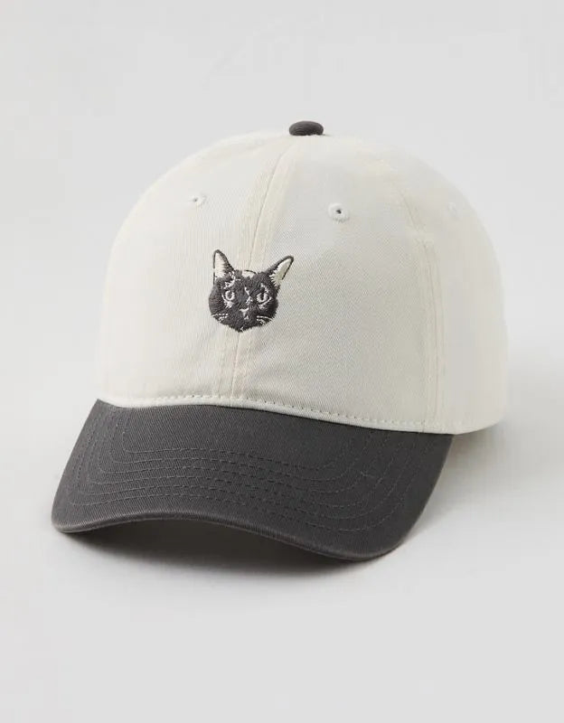 Aerie Colorblock Baseball Hat
