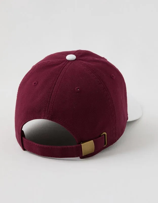 Aerie Colorblock Baseball Hat